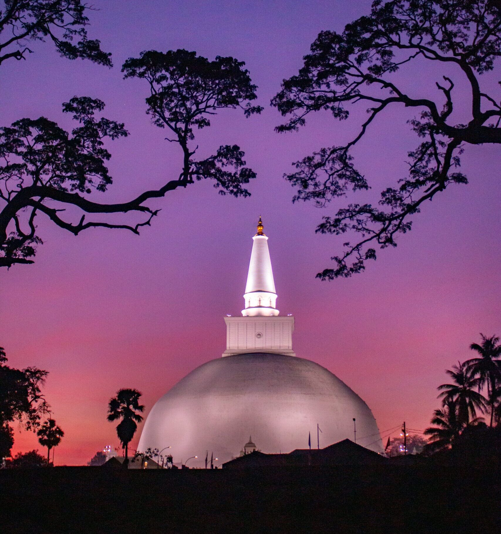 chathura anuradha subasinghe wsnp3rxrk m unsplash