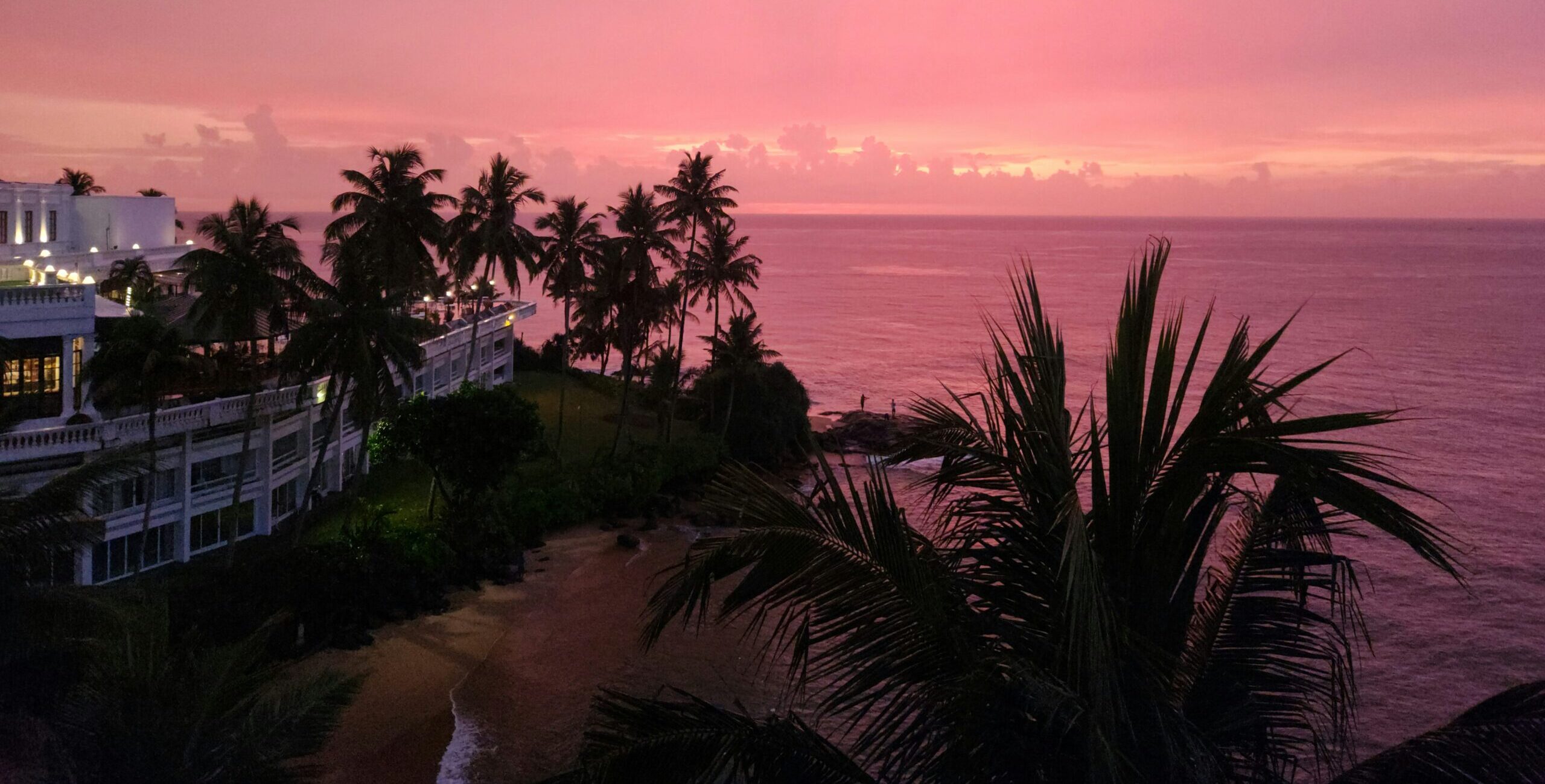 zoshua colah gym dqhj5ee unsplash