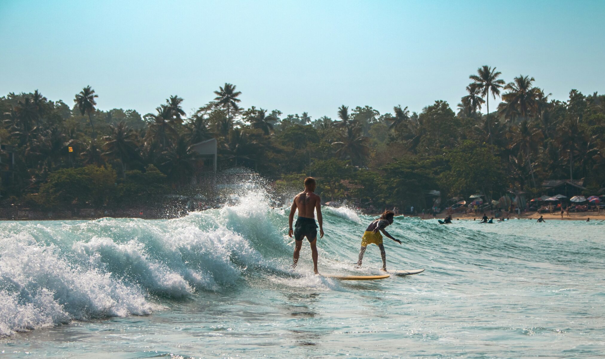 zoshua colah cmazflrosxg unsplash